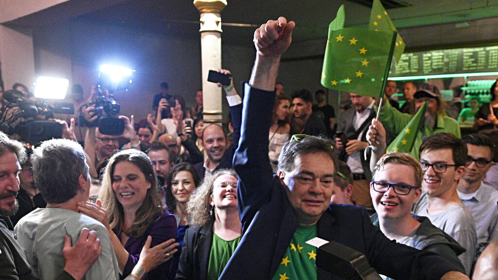 Werner Kogler, EU-Wahl