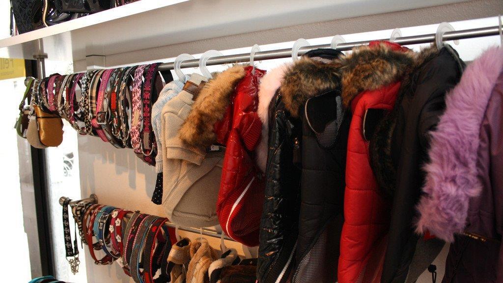 Die Hundefriseurin und ihr "Felldorado"