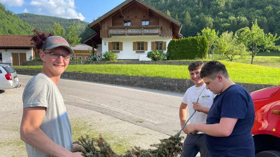 Maibaum Perneck