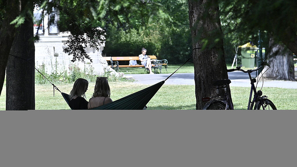 20210620_PD3005.HR.jpg