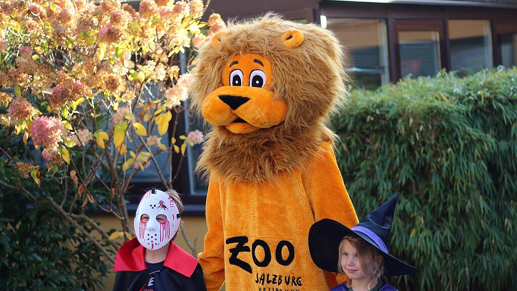 Halloween im Zoo