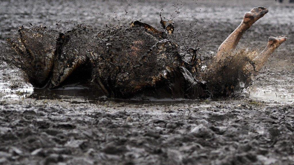 Wacken: Heavy Metal im Schlamm