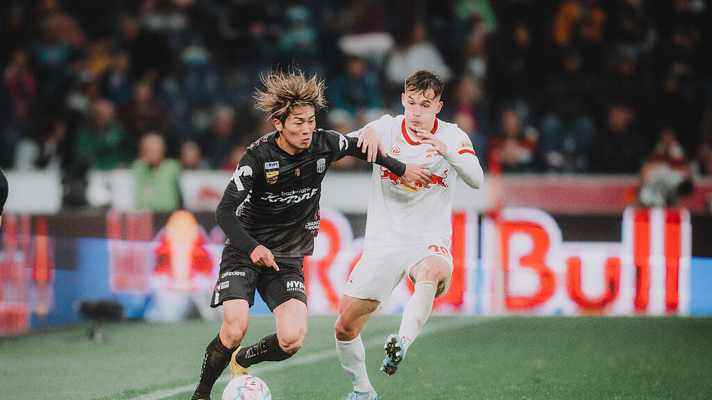 Amar Dedic, Red Bull Salzburg