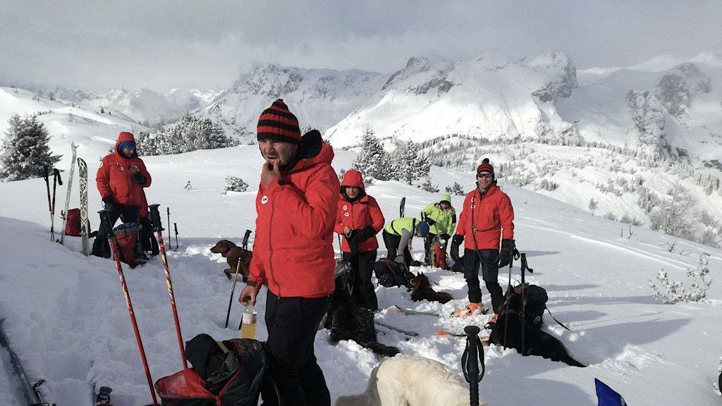 Lawinensuchhunde üben Ernstfall
