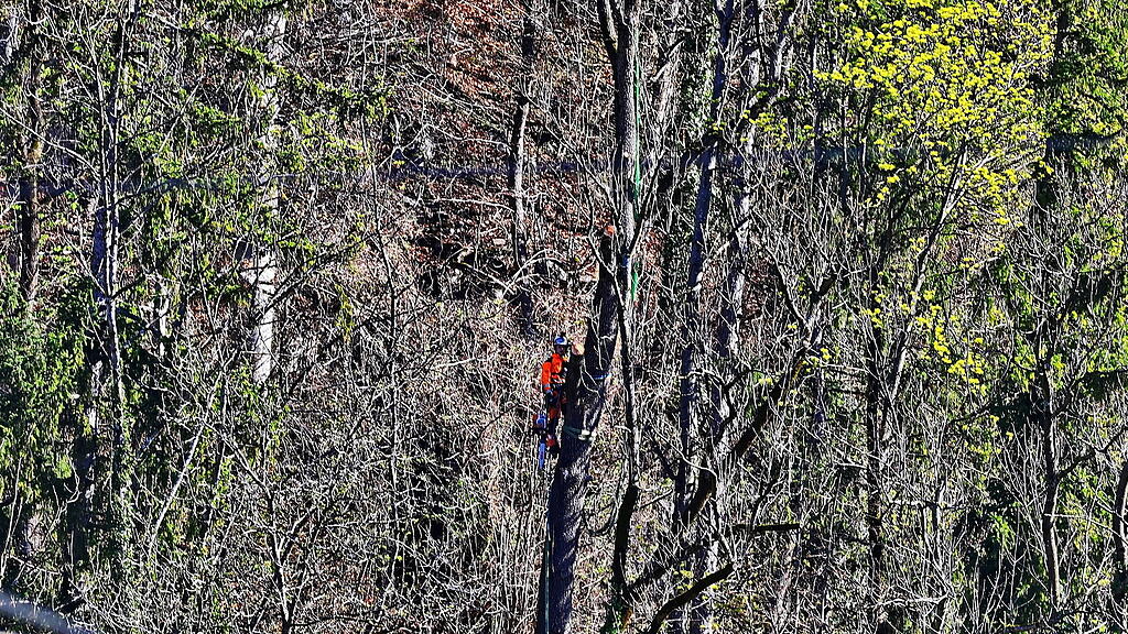 Hubschrauber am Kapuzinerberg
