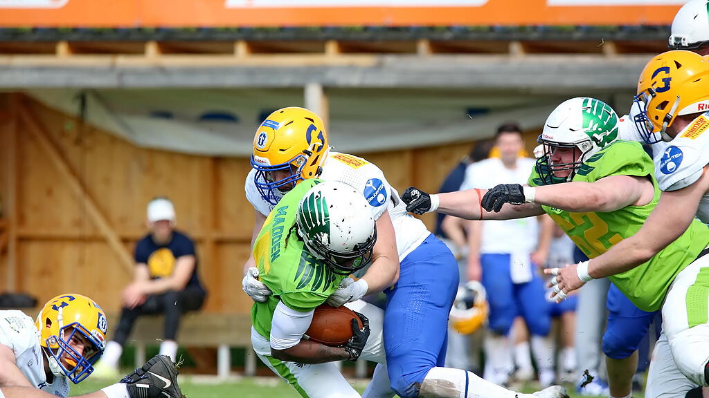 Salzburg Durcks - Thalheim Giants Graz