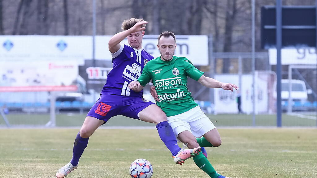 Hallein, Hallwang, Salzburger Liga, Crnogorcevic