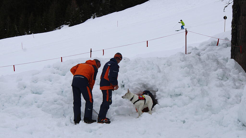 Lawinenhunde Bergrettung Training