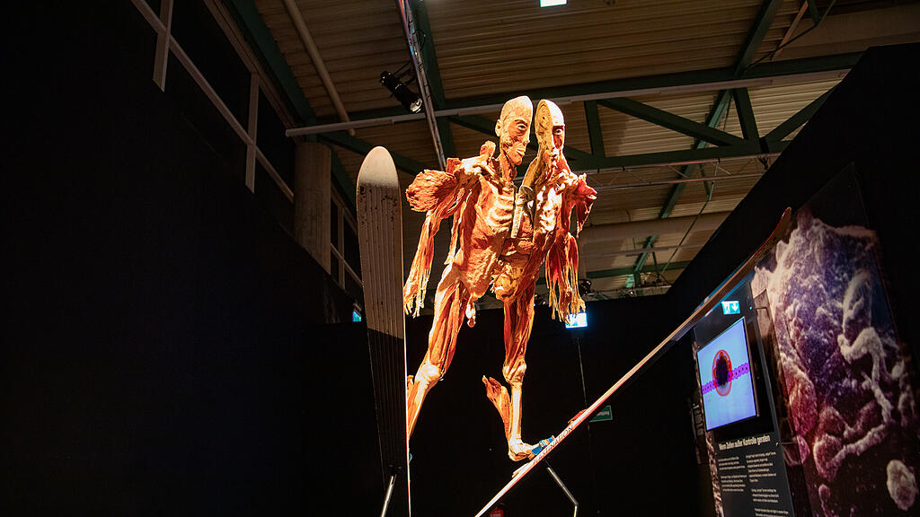 Ausstellung Körperwelten Salzburg I