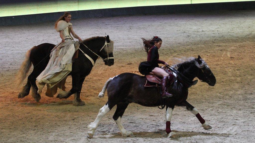 Mevisto Amadeus Horse Indoors 2014 in der Salzburgarena