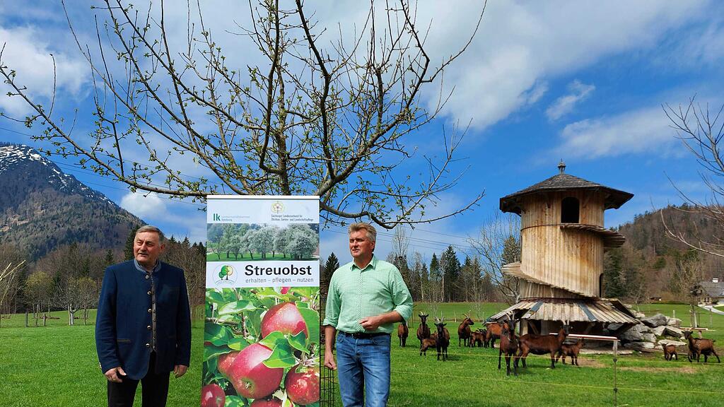 Streuobstwiese
