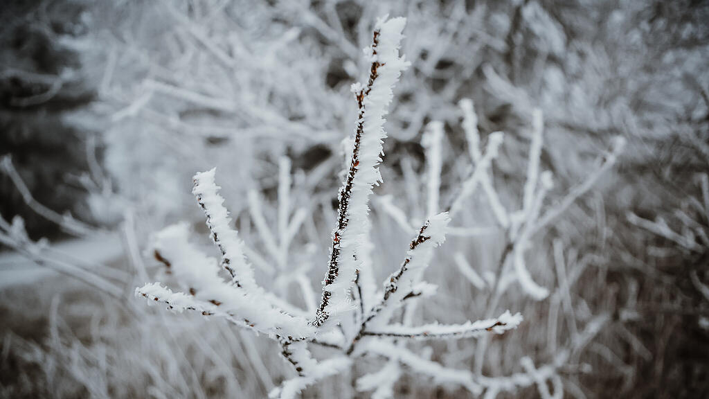 Schnee am Gaisberg