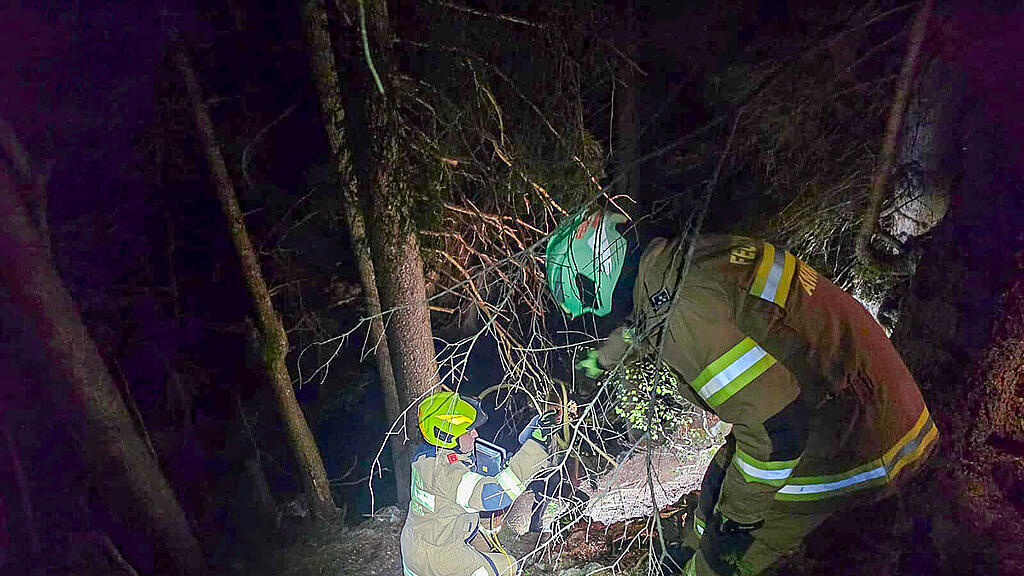 Kuh in Annaberg gerettet