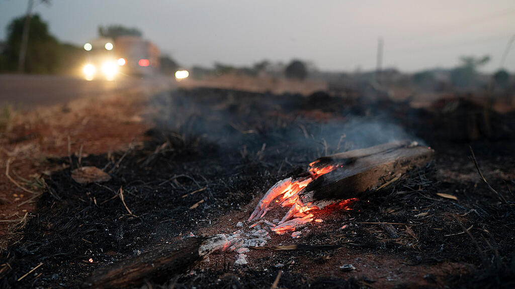 Waldbr\u00e4nde in Brasilien