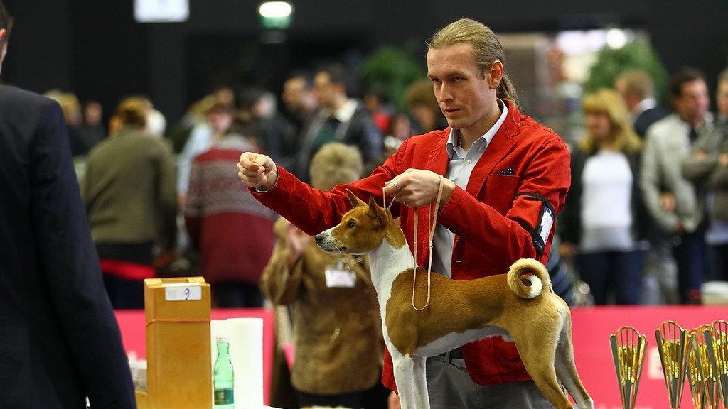 Festival der Hunde im Messezentrum Salzburg