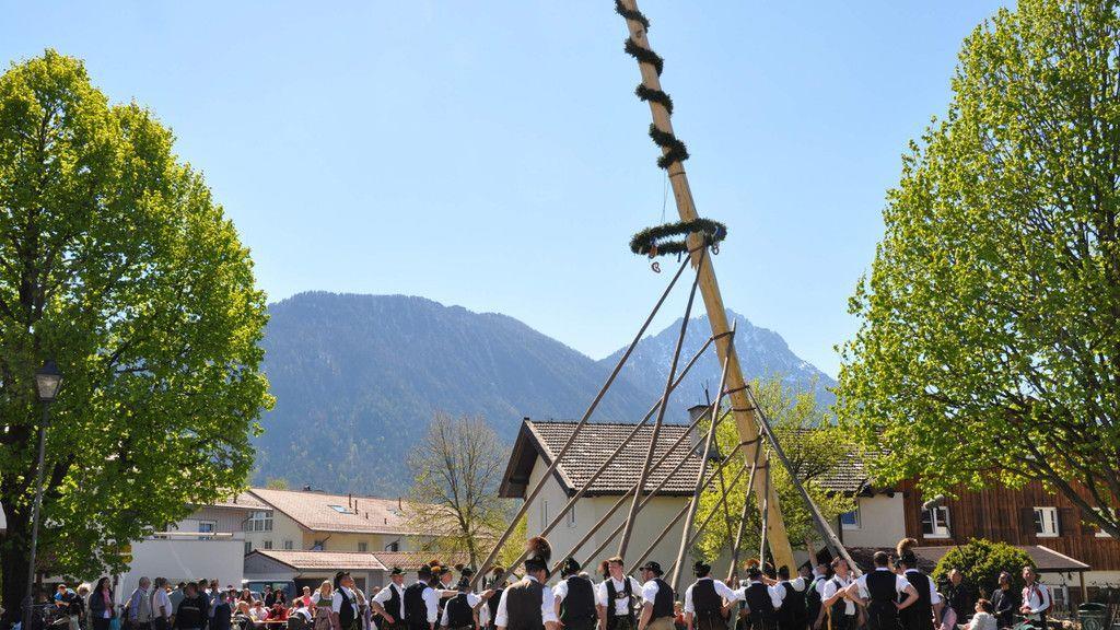 Maibaumaufstellen in Piding und Ainring