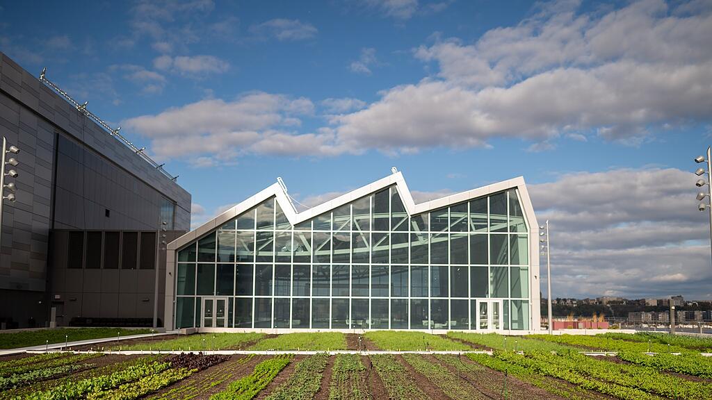 Javits Center