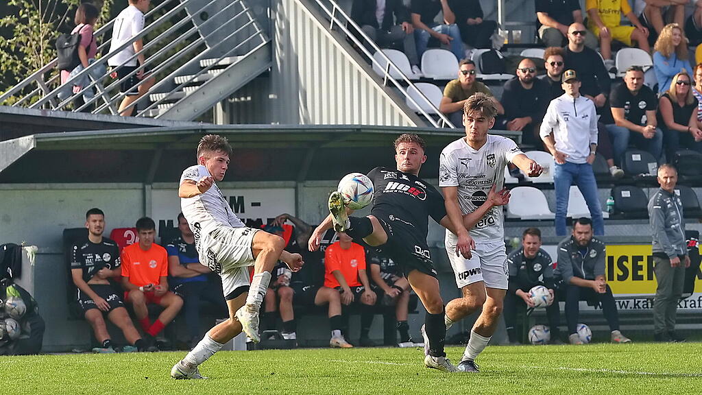 Puch, Thalgau, Salzburger Liga