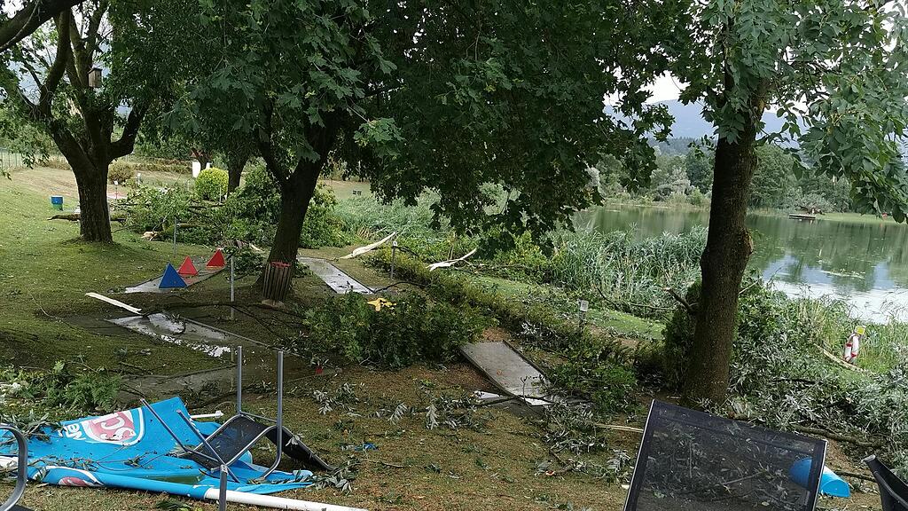 Kinder von Baum erschlagen