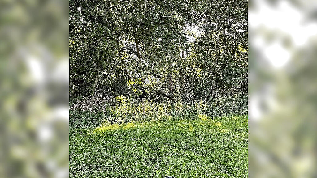 image00007.jpg