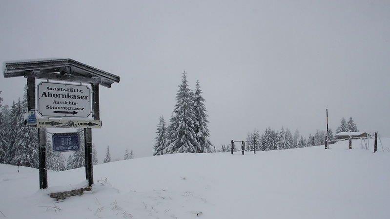 Schneefall am Roßfeld