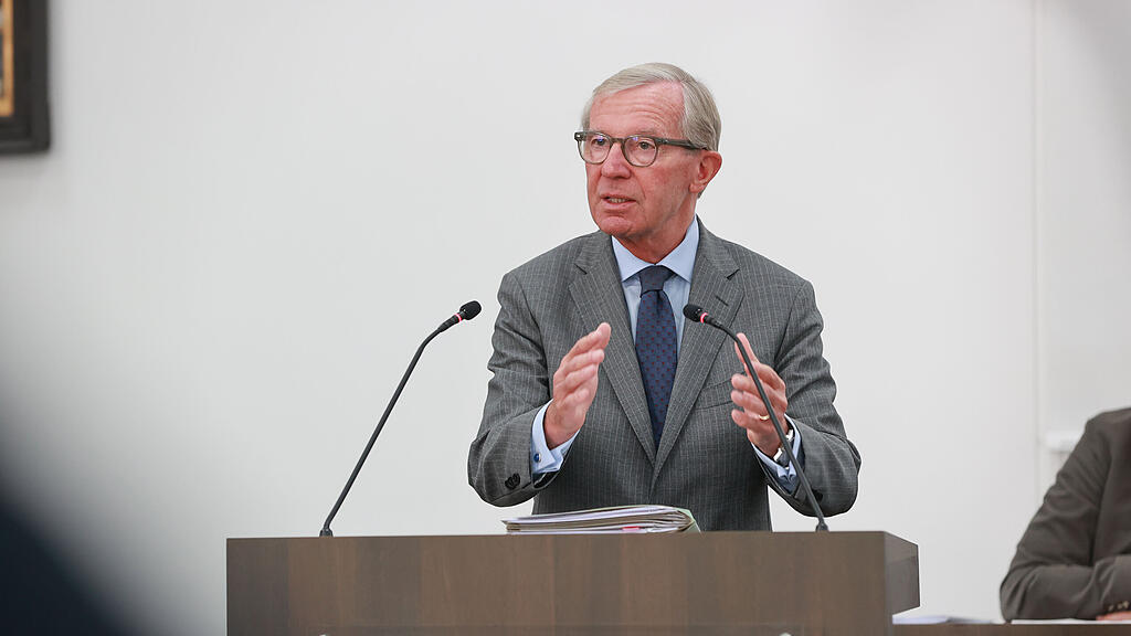 haslauer hearing salzburger landesregierung