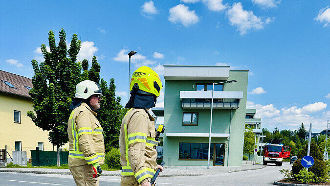 Entenfamilie Oberndorf