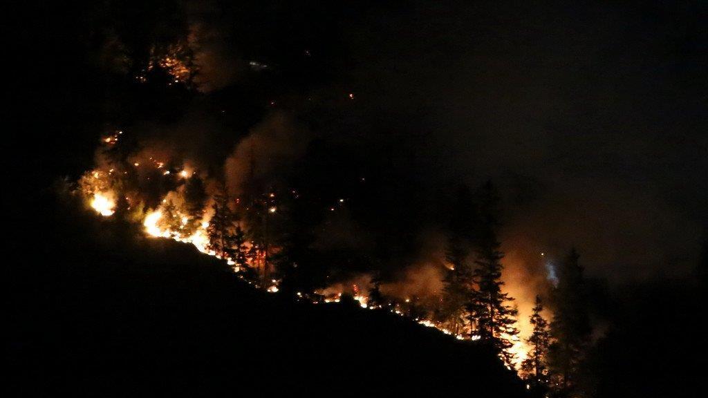 Waldbrand am Thumsee, II