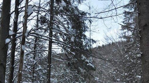 Die Natur genießen