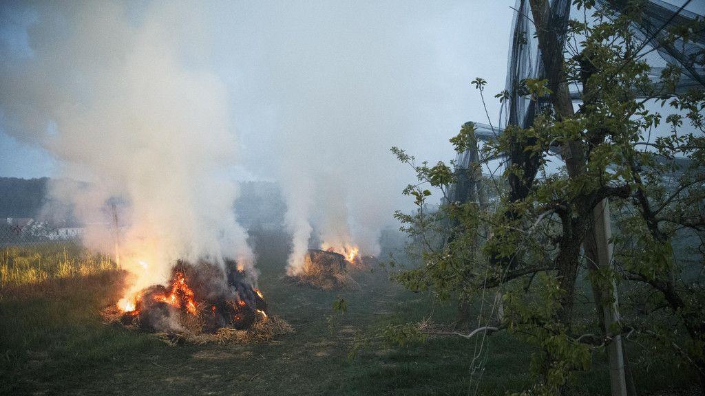 Bauern kämpfen gegen Frost