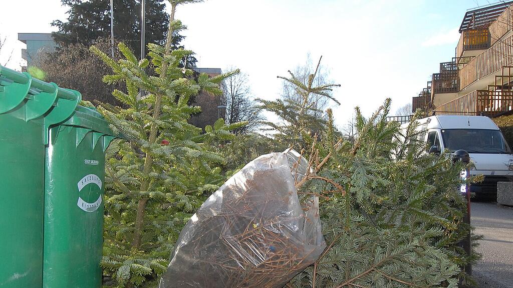 Christbaum-Entsorgung
