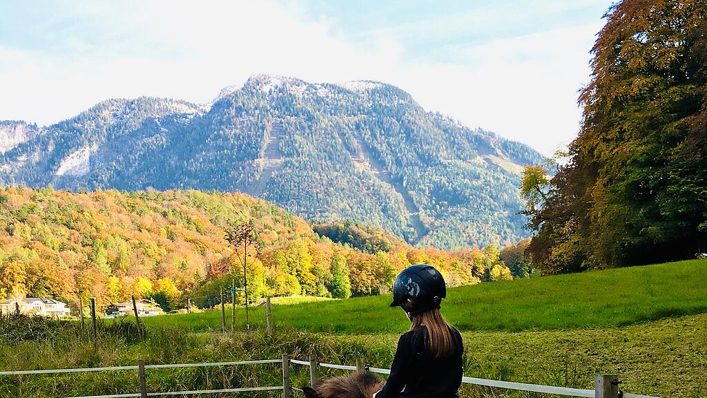Pferde vom Pony Club Salzburg