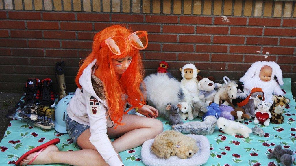 Niederlande feierten ersten Königstag ihrer Geschichte