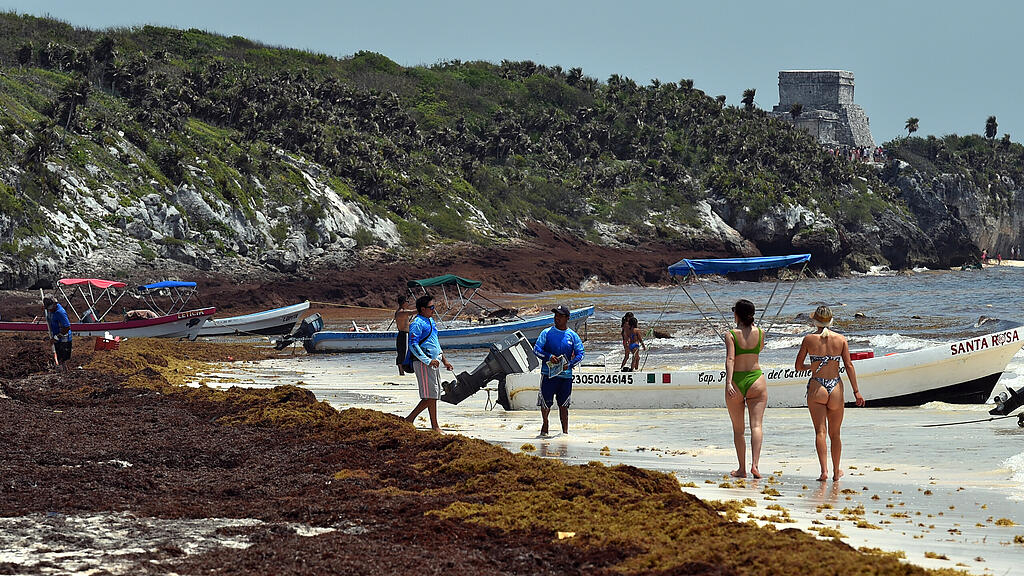 Algen, Strand Mexiko, Tulum