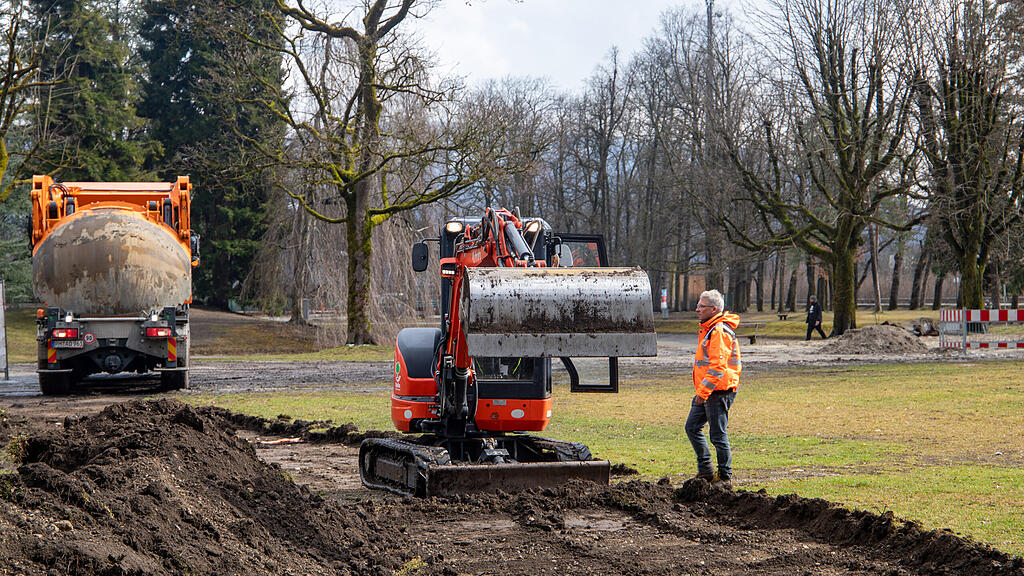 Baumverpflanzung im Volksgarten