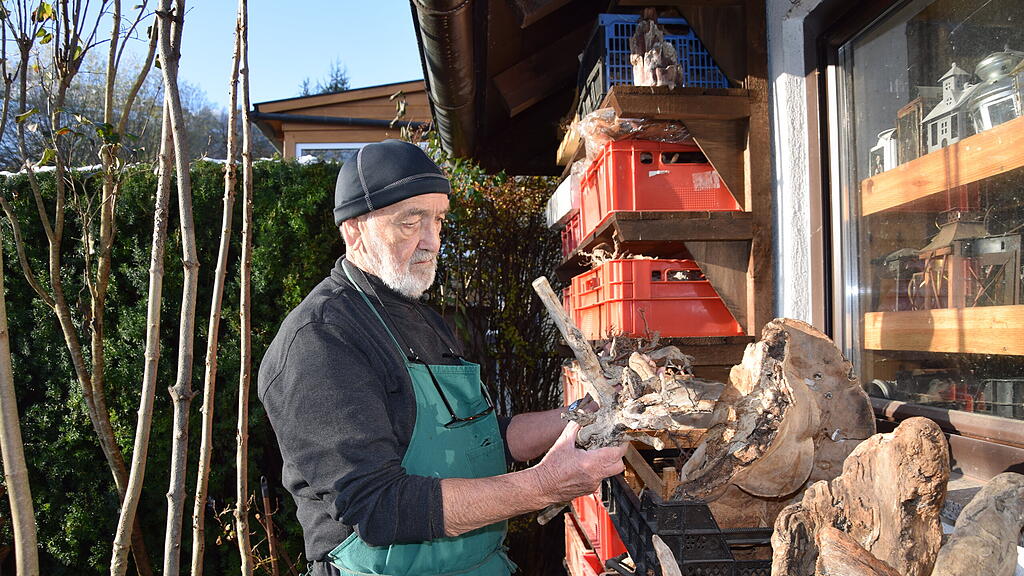 Krippenbaumeister in Hallein
