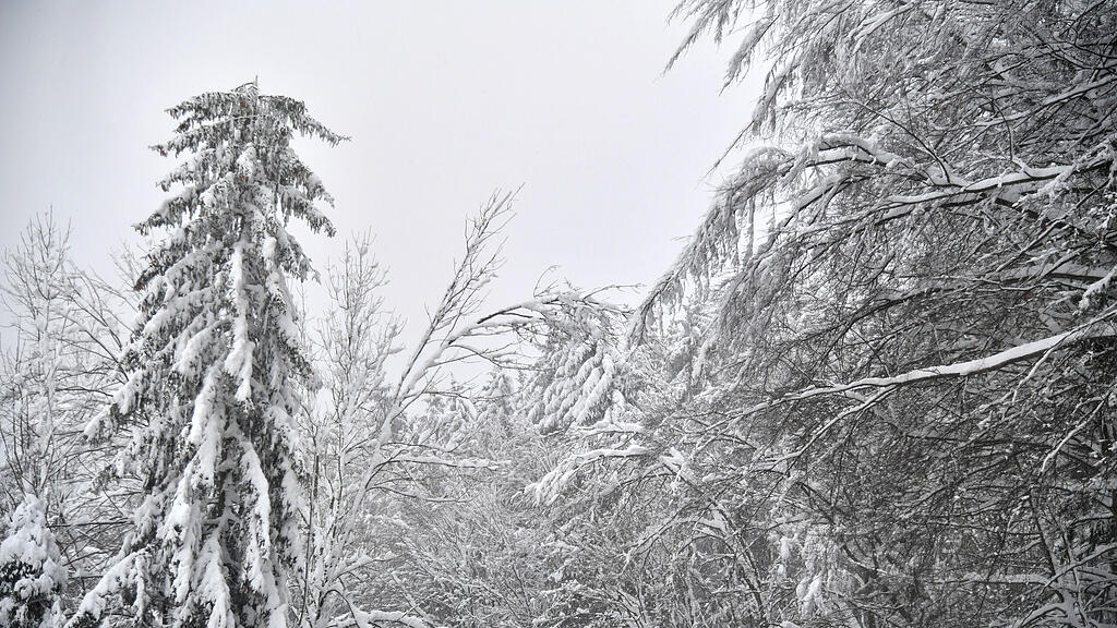 Schnee in Salzburg