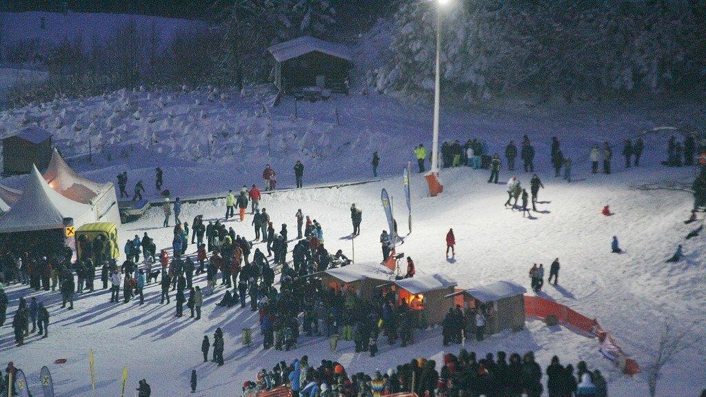 Snow Speedhill Race in Ried
