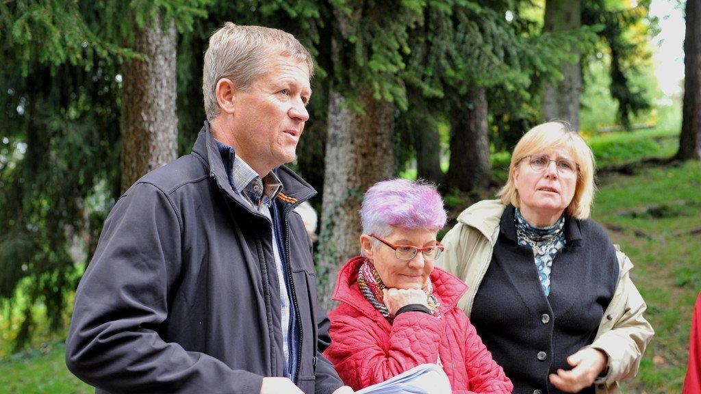 Stadt:Dialog zur Baumpflege