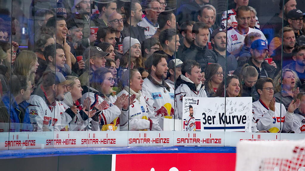 Eisbullen gegen Eisbären Berlin