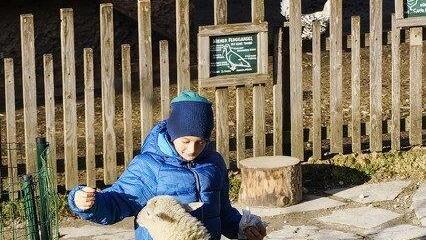 Warten aufs Christkind im Zoo
