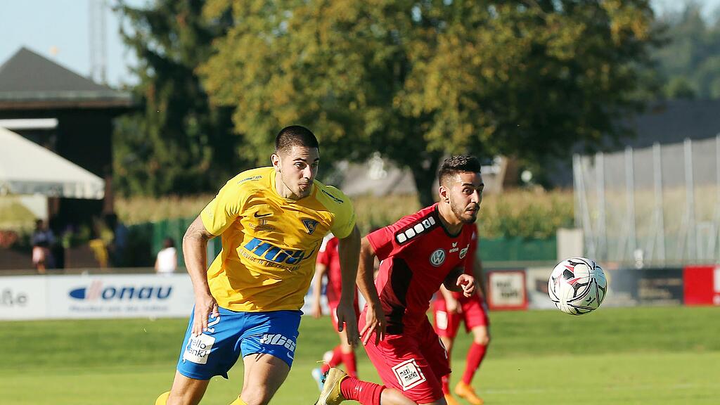 Anif, SAK