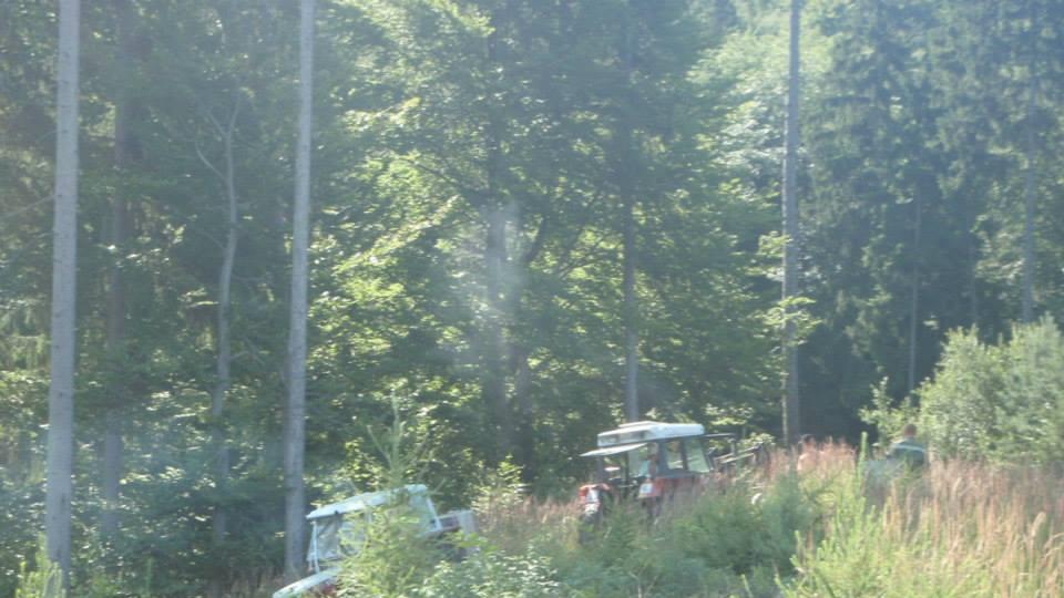 Flächenbrand in Nußdorf
