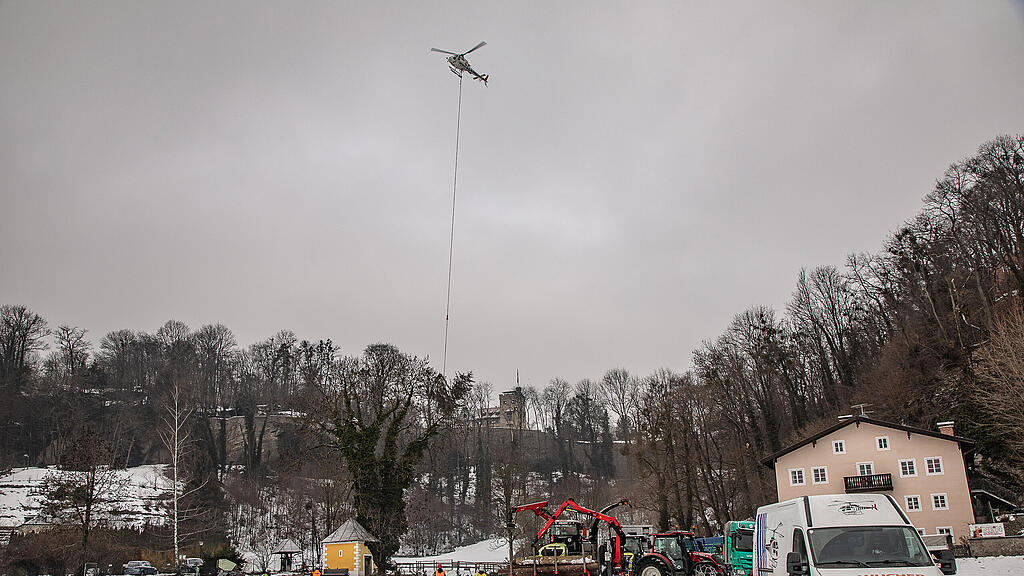 Baumf\u00e4llung am Nonnberg