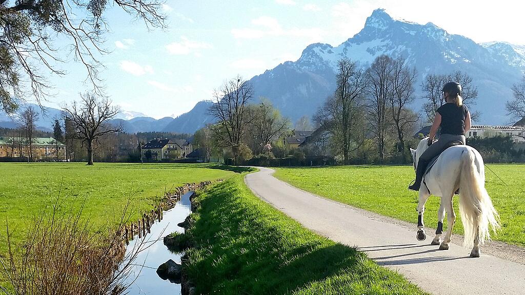 Die Reiterin wurde bei dem Sturz schwer verletzt.