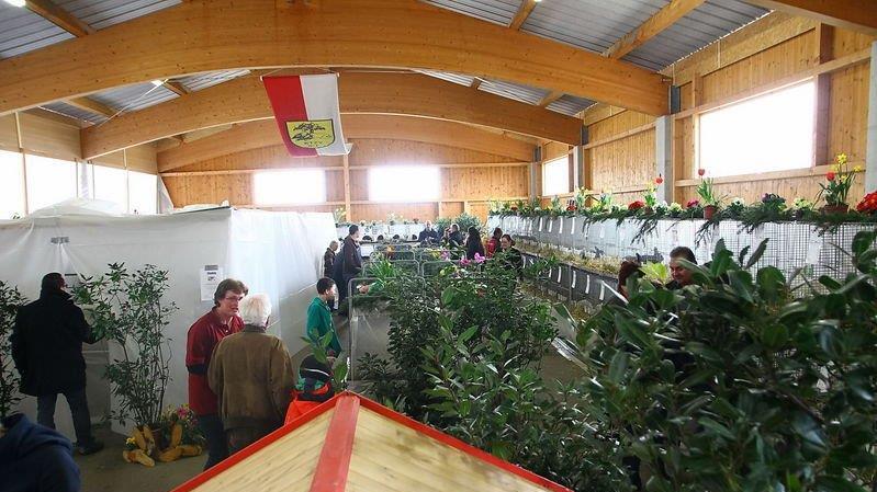 Bilder der Ausstellung