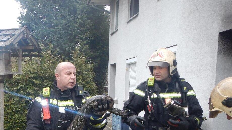 Die Feuerwehrmänner retteten einer Schlage und einem Kaninchen das Leben.