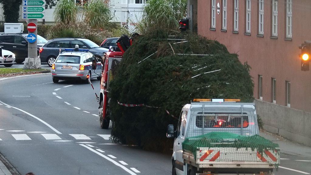 Christbaum ist angekommen