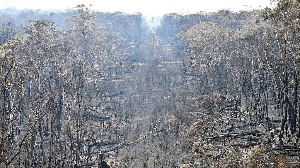 Buschbrände Australien