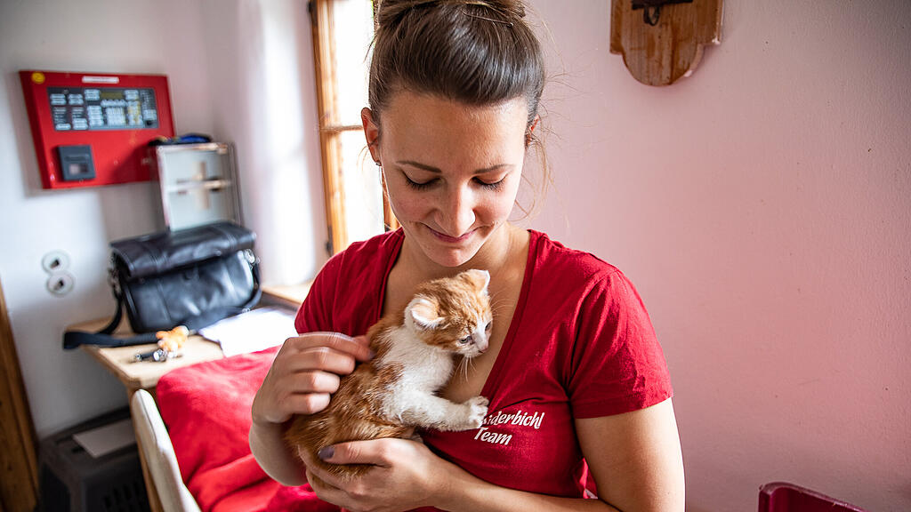 Katze, Gut Aiderbichl